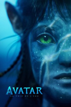 poster Avatar : La Voie de l'eau vo  (2022)
